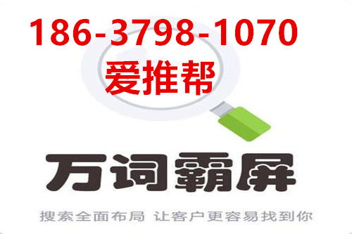 成都网络代理与推广市场 代理加盟与自动发布策略解析