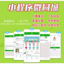 上海网络代理及推广 本地化策略与高效营销之道